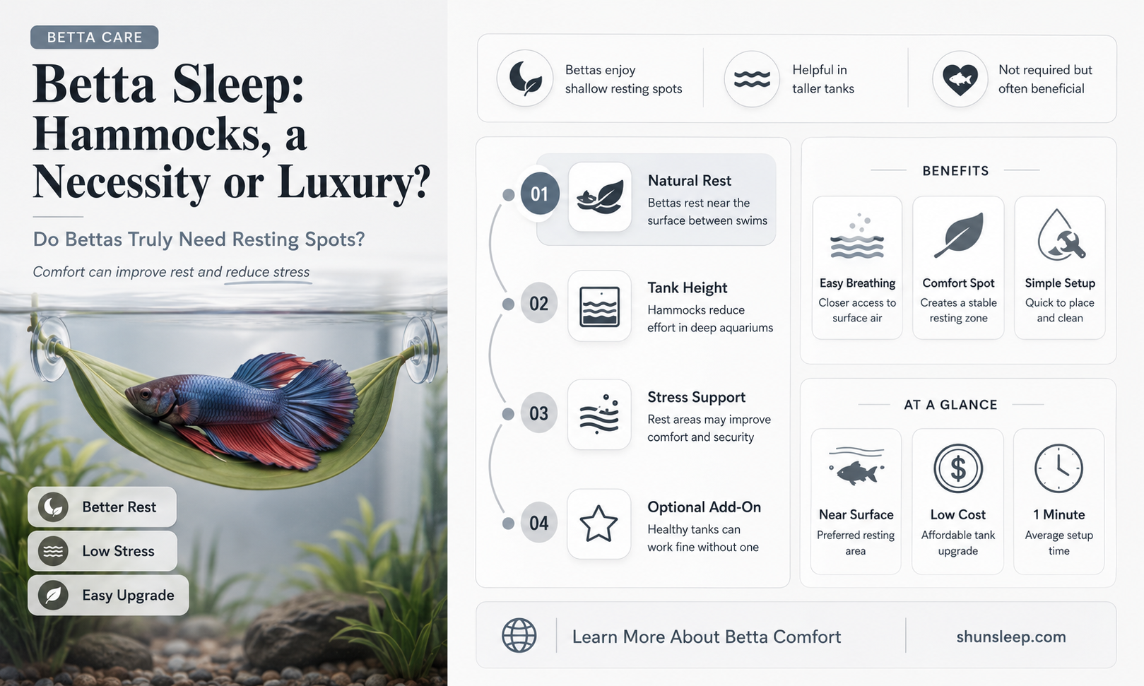can betta sleep wtihout hammock