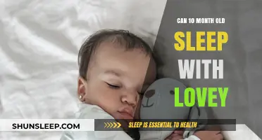 Loveys: Safe Sleep Companions for 10-Month-Olds?