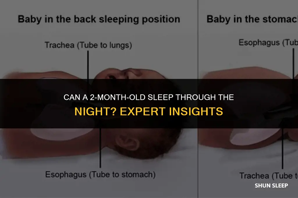 can 2 month old sleep 10 hours night