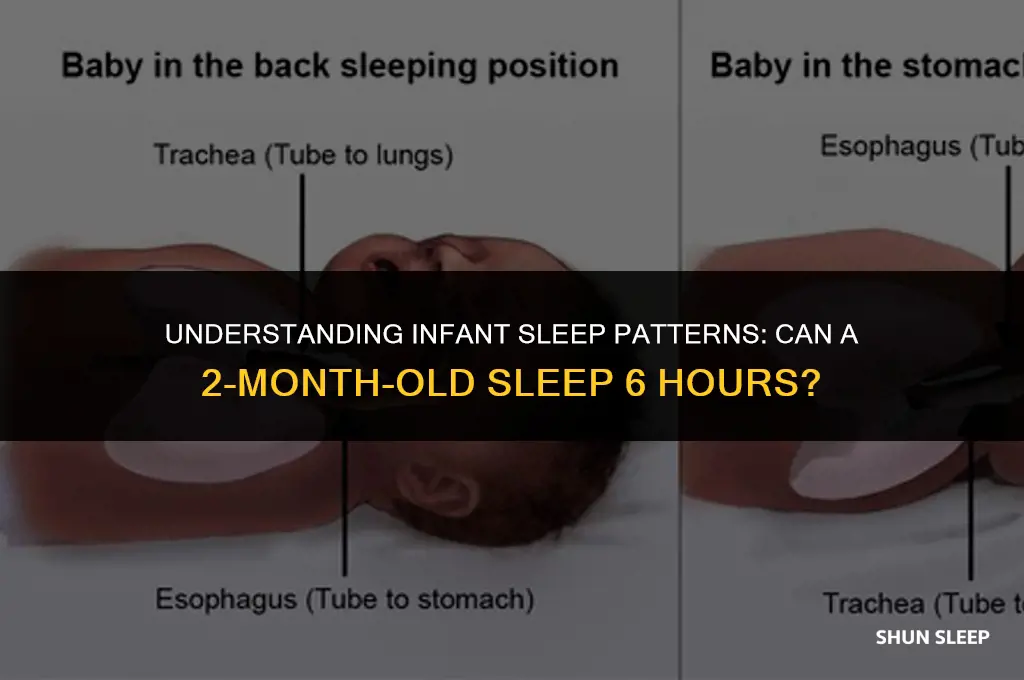 can 2 month old sleep 6 hours