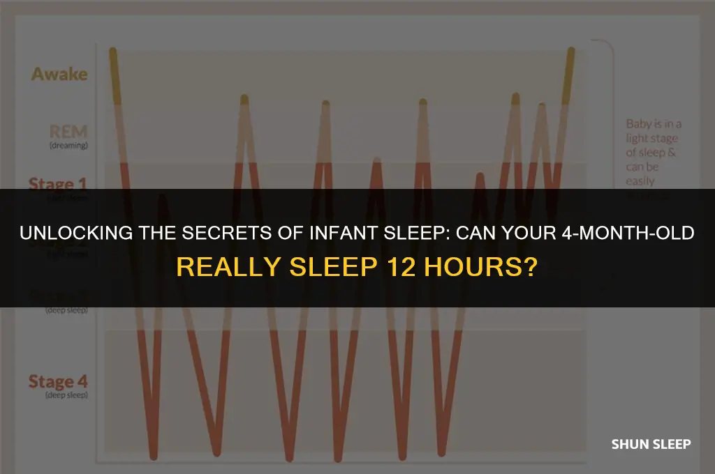 can 4 month old sleep 12 hours