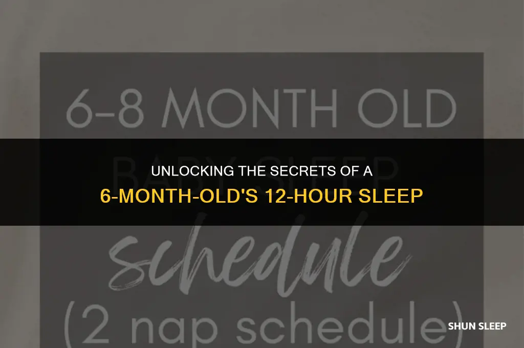 can 6 month old sleep 12 hours