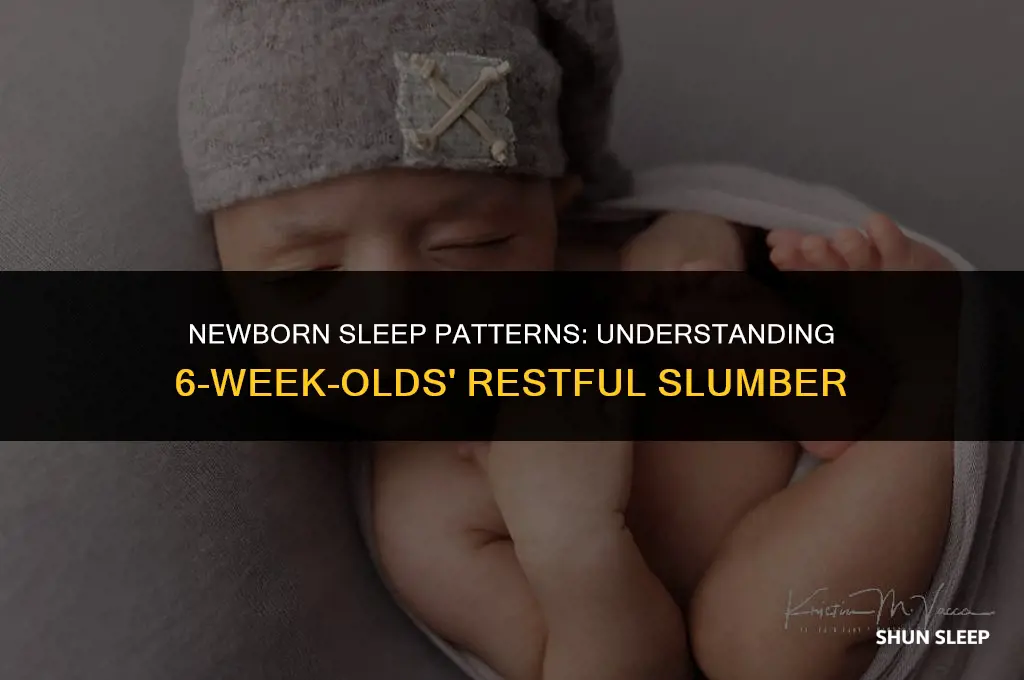 can 6 week old sleep 6 hours
