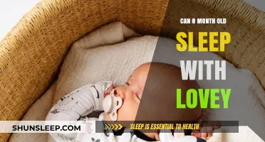 Loveys: Safe Sleep Companions for 8-Month-Olds?