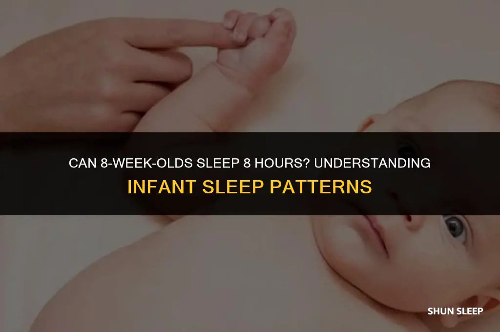 can 8 week old sleep 8 hours