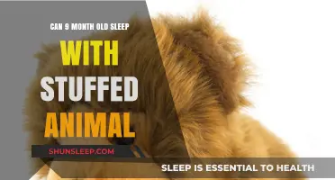 Is It Safe for 9-Month-Olds to Sleep With Stuffed Toys?