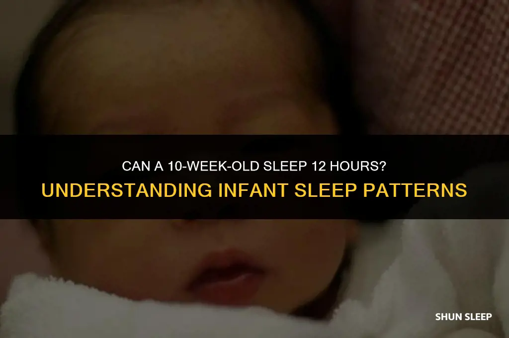can a 10 week old sleep 12 hours