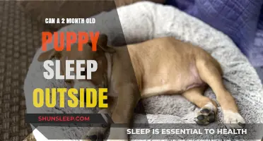 Puppy Sleep Training: Outdoors at Two Months?