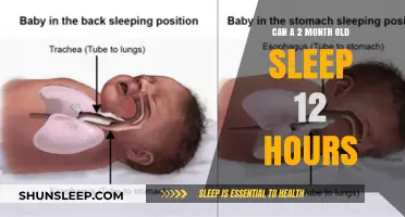 Can a 2-Month-Old Sleep 12 Hours? Understanding Infant Sleep Patterns