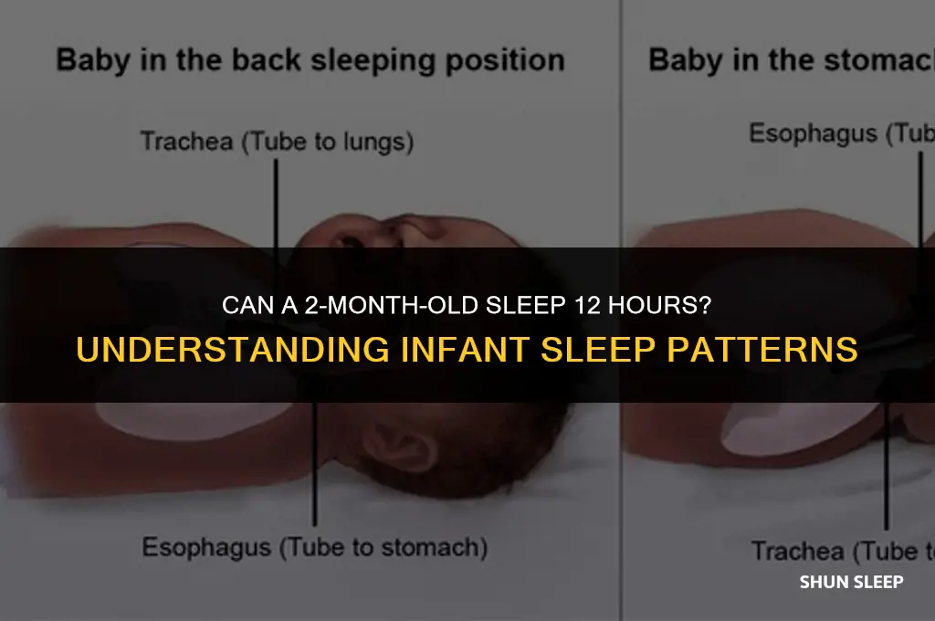 can a 2 month old sleep 12 hours
