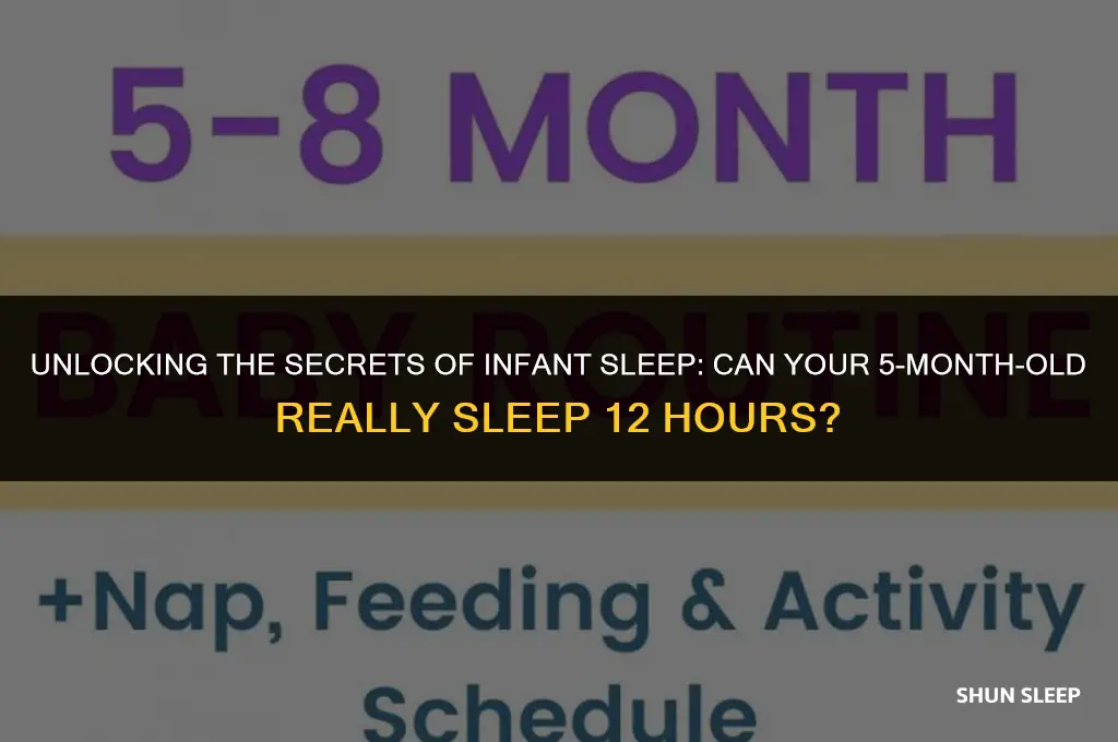 can a 5 month old sleep 12 hours