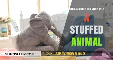 Is It Safe for Babies to Sleep with Stuffed Toys?