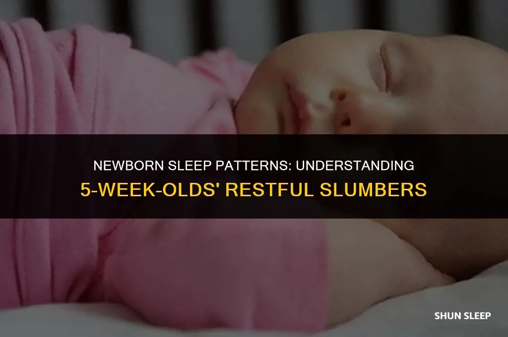 can a 5 week old sleep 5 hours