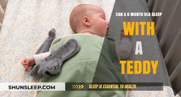Teddy Bears: Safe Sleep Companions for 6-Month-Olds?