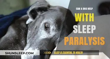 Can Dogs Ease Sleep Paralysis? Exploring Canine Comfort for Nighttime Relief