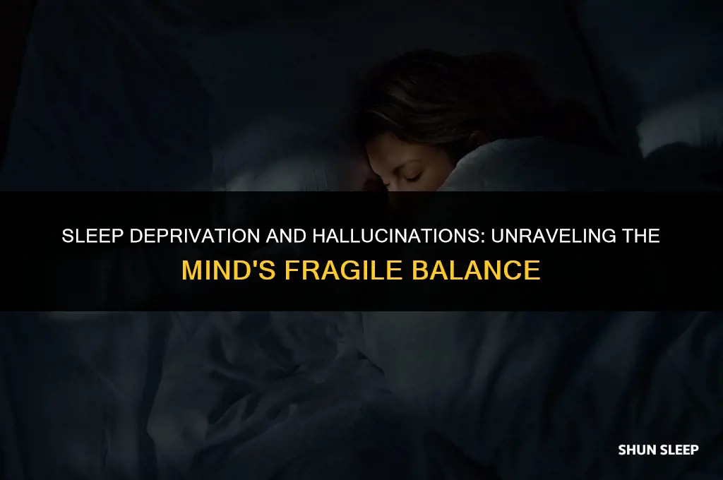 can a few hours of sleep loss cause hallucinations