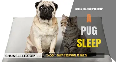 Can Heating Pads Improve a Pug's Sleep Quality and Comfort?