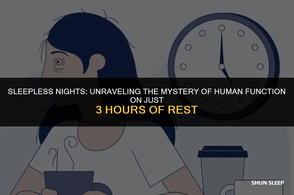 can a human function on 3 hours of sleep