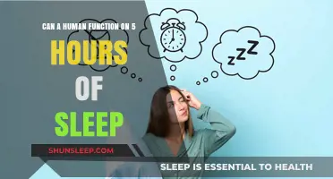 Unlocking Productivity: The Myth of 5-Hour Sleep Cycles