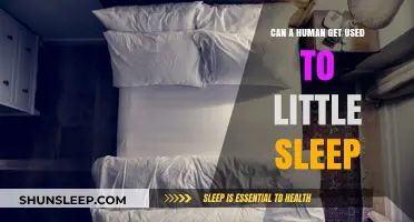 Surviving on Little Sleep: Can Humans Adapt to Minimal Rest?