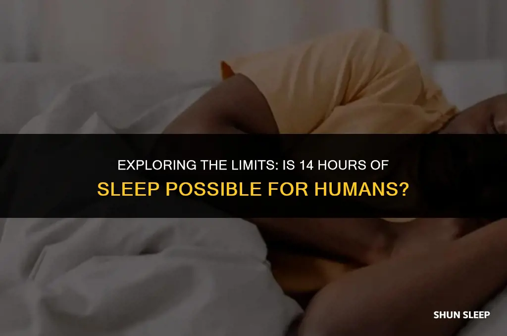 can a human sleep for 14 hours