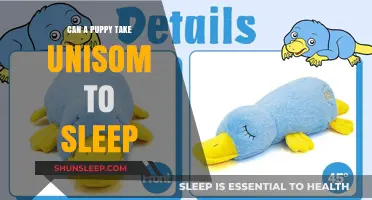 Unisom for Puppies: Safe Sleep Aid?