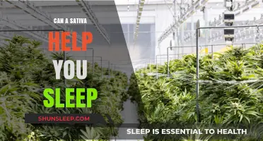 Sativa for Sleep: Unlocking Restful Nights with the Right Strain