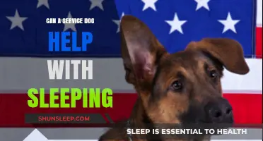 Service Dogs and Sleep: Can They Improve Your Rest?