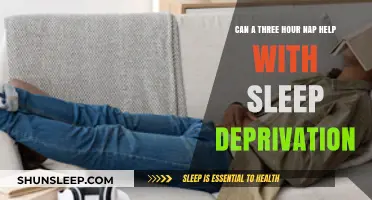 Revitalizing Rest: Can a Three-Hour Nap Combat Sleep Deprivation?