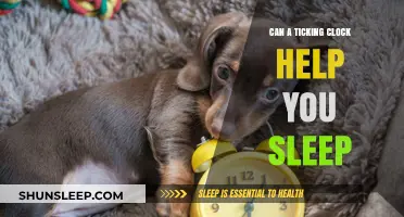 Ticking Clock: Unlocking Better Sleep Through Rhythmic White Noise?