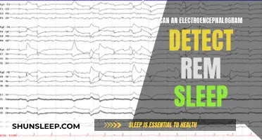 EEG and REM Sleep: Detection and Insights