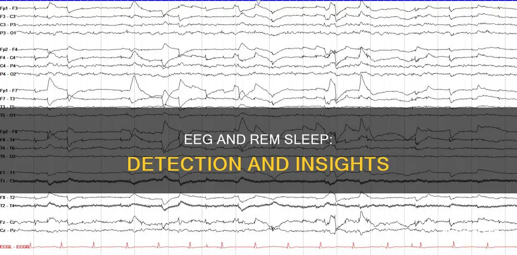 can an electroencephalogram detect rem sleep