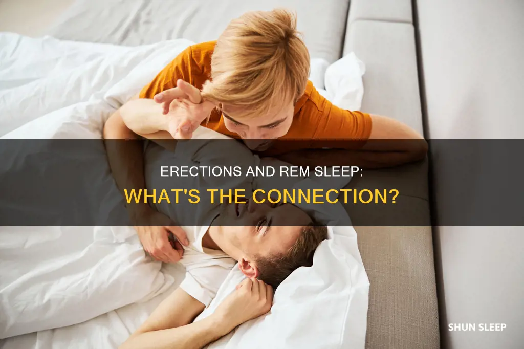 can an erection happen during rem sleep