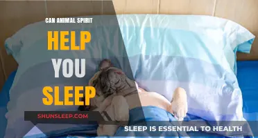 Animal Spirit Guidance: Enhancing Sleep Quality and Inner Peace Naturally