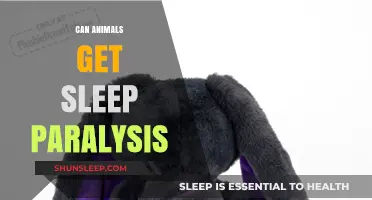 Do Animals Experience Sleep Paralysis? Exploring the Science Behind It