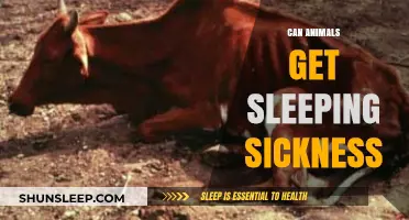 Can Animals Contract Sleeping Sickness? Exploring the Risks and Facts