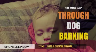 Can Babies Sleep Through Dog Barking? Expert Tips and Insights