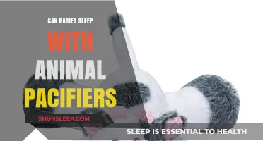 Are Animal Pacifiers Safe for Baby's Sleep? Expert Insights