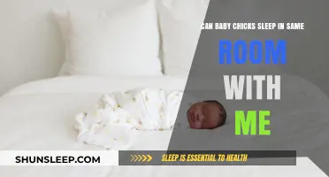 Sharing Space: Can Baby Chicks Sleep Safely in Your Room?