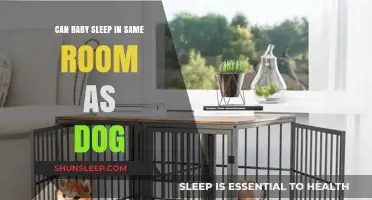 Can Baby Sleep in Same Room as Dog? Safety Tips and Advice