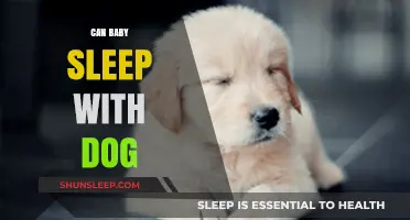 Can Baby Sleep with Dog? Safety Tips for Co-Sleeping Pets