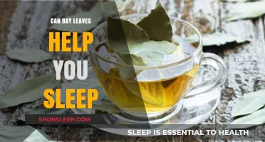 Bay Leaves for Better Sleep: Unlocking Nature's Soothing Secret