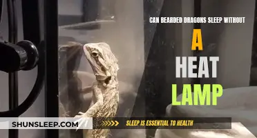 Bearded Dragons and Heat Lamps: A Restful Sleep?