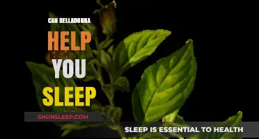 Belladonna for Sleep: Exploring Its Potential Benefits and Risks