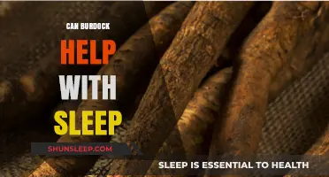 Burdock Root for Sleep: Natural Remedy or Myth?