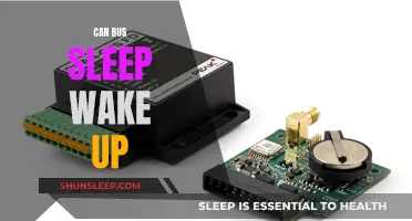 Can Bus: Understanding Sleep and Wake-Up Sequences