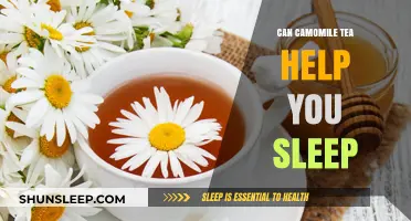 Camomile Tea for Sleep: Does It Really Help You Rest?