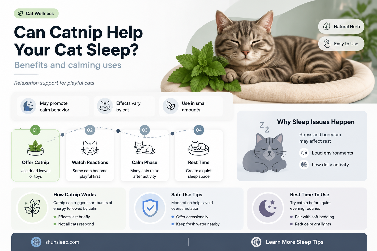 can catnip help a cat sleep