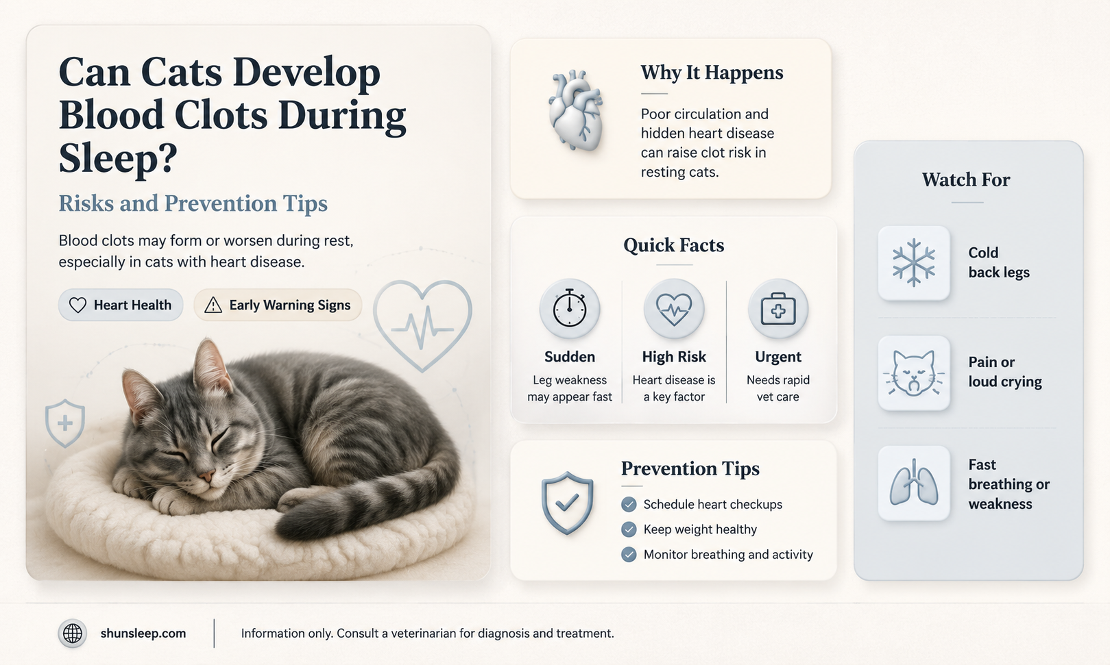 can cats get blood clots while sleeping