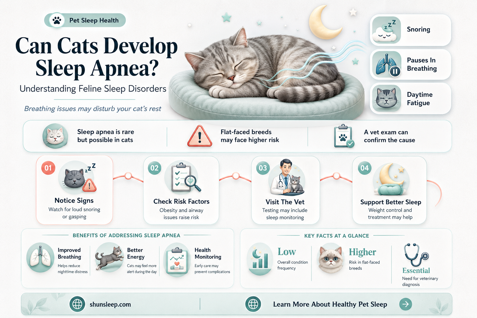 can cats get sleep apea